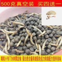 非洲迷你刺猬高蛋白小颗粒除臭刺猬粮含面包虫饲料500克真空装 非洲迷你刺猬高蛋白小颗粒除臭刺猬粮含面包虫饲料500克真空