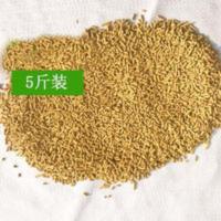 散装八哥画眉鹩哥百灵四喜喜鹊乌鸫黄鹂鸟鸽子基础营养鸟饲料鸟粮 2500g