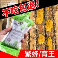 花粉浆唯蜂蜜蜂蜂粮喂蜂中意蜂饲料油菜花粉代用发酵蜂粮养蜂工具 【直接饲喂】营养型花粉浆120克 1包装【试用装】