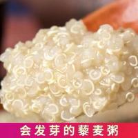 新青海三色藜麦藜麦米高原白藜麦黎麦米五谷杂粮粗粮搭奇亚籽麦片 白藜麦1斤