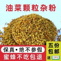 油菜杂粉中蜂意蜂花粉蜜蜂饲料喂蜂花粉养蜂花粉蜂粮花粉 油菜杂粉1斤