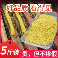 花粉蜂粮中蜂新油菜花粉天然养蜂饲料喂蜂花粉颗粒养蜂工具 [纯天然]油菜杂花粉1斤装