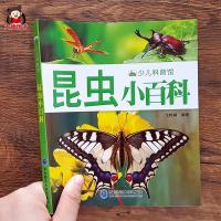 昆虫小百科书籍小学生幼儿绘本认识虫子科普知识课外书6-12岁注音 如图