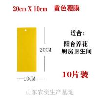 60片装大棚双面粘虫板黄色蓟马诱虫板蓝色防水茶园果园粘蚊苍蝇板 20cmX10cm 双面黄板体验装