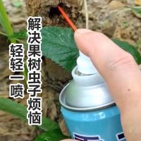 杀天牛气雾剂果树杀虫剂蛀虫松树天牛木材驻虫白蚁园林苗木蛤虫 300毫升试用装一瓶
