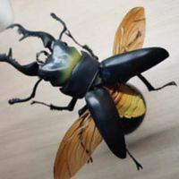 随机款万代昆虫扭蛋锹形虫甲虫,全新黑色款随机一款扭蛋 随机款万代昆虫扭蛋锹