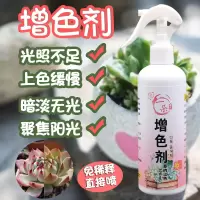 多肉植物增色剂上色液免稀释多肉营养液增肥生根壮苗素12/3大瓶装 多肉专用增色剂免稀释320ML*1瓶