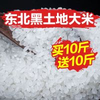 [买1赠1]五常稻花香东北大米新米批发价10斤一袋实收20斤 东北黑土地大米(实发20斤)