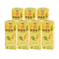 期 康师傅蜂蜜柚子茶饮品250mlx24盒整箱茶清凉果汁 250ml*24盒蜂蜜柚子