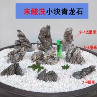 青龙石小块酸洗精选微观草缸造景石自然苔藓缸迷你型摆件小假山石 [未酸洗]小块青龙石 2-4厘米 10个(形状随机)