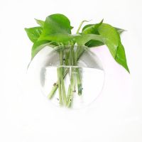 壁挂水培植物花瓶墙上透明绿萝铜钱草花盆欧式创意玻璃水培瓶 直径12cm馒头壁挂花瓶