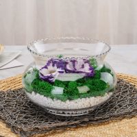 花瓶水培花盆水仙碗莲铜线草花盆花卉盆栽绿植玻璃水养花瓶 鱼缸 肚径15厘米花边缸1个