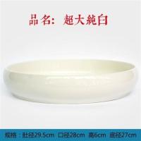 水仙盆陶瓷特大号睡碗莲铜钱草花盆多肉植物花盆拼盘特价 特大纯白 大