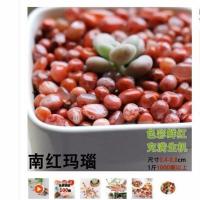 雨花石原石天然鹅卵石小石子鱼缸装饰石头花盆栽水培五彩色 南红玛瑙0.8cm半斤约150颗
