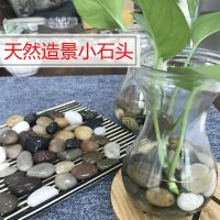 天然雨花石鹅卵石盆栽鱼缸水培花盆多肉铺面装饰园艺造景小石头 特A级精选五彩1-3[1斤样品装]