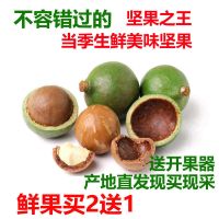 新鲜夏威夷果生坚果干果 奶香味 原味无添加散装袋装净重整箱批发 中小颗粒 去青皮鲜湿果1斤(买3赠1斤)