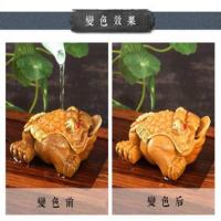 蟾蜍茶台创意盘变色个性具金蝉配件招财精品双龙戏珠海桌根雕荼青 金色金蝉