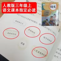 夏洛的网柔软的阳光帽子的秘密小灵通漫游未来完整版正版书三年级四五六年级小学生课外阅读图书必读书籍