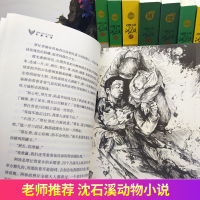 大鱼之道 动物小说大王沈石溪品藏书系 适合儿童的课外启发读物教辅 少儿文学小说寓言故事书 正版 四五六年级小学生少儿课外