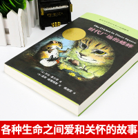 时代广场的蟋蟀官方正版 三年级必读经典书目 四五六年级课外书不老泉文库系列国际大奖小说儿童文学读物9-12岁小学生课外阅