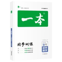 2021春一本初中数学九年级同步训练下册 人教版 初中生中考数学辅导练习题 初三9年级数学下册题库教辅书籍总复习资料 正