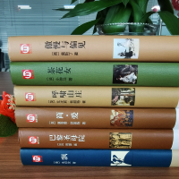世界六大名著套装茶花女/飘 /呼啸山庄 /简爱 /巴黎圣母院/傲慢与偏见 精装全译本中文版全集经典外国文学小说图书 正版