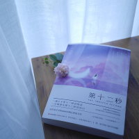 正版 第十二秒 法学才女Sunness悬爱作品任重万茜主演电视剧同步视剧原著现当代破案悬疑侦探推理虐心青春小说书籍 书