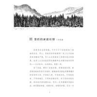 沈石溪动物小说感悟生命书系列全集 雪域豹影单本 中国儿童文学小学生三四五六年级初中生课外阅读青少年必读的故事书籍正版