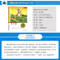 正版 兔子坡 书 国际大奖小说升级版 纽伯瑞儿童文学奖金奖作品 新蕾出版社 9-11-12-15岁青少年儿童文学小说童书