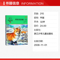 再被狐狸骗一次升级版 小学生8-9-10-12-15岁青少年课外启发读物动物小说大王沈石溪品藏书系儿童文学少儿童话故事新