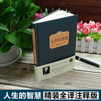 精装正版 人生的智慧 叔本华的书 西方百年jd学术系列 叔本华人生哲学智慧美学 韦启昌 唯意志主义西方哲学jd名著哲学书
