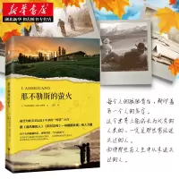 正版 那不勒斯的萤火 马西米利亚诺·威尔吉利奥著 媲美追风筝的人阿甘正传同类作品心灵治愈震撼 外国现当代文学书