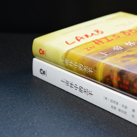 正版 上帝怀中的羔羊 凯洛琳米勒著 普利策文学奖 外国青春励志小说书籍媲美 飘 追风筝的人 偷影子的人经典现当代文学ww