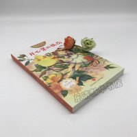 正版新书 成长不迷茫校园励志小说 辑 开心果的忧伤 饶雪莉 儿童文学 中小学生课外阅读书籍 儿童小说