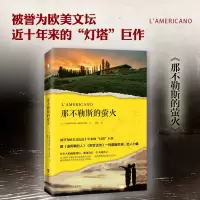 [正版]那不勒斯的萤火 媲美追风筝的人阿甘正传 外国现当代文学友情励志小说随笔故事书籍