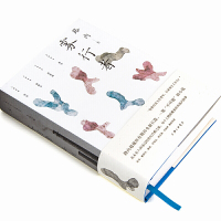 正版精装 雾行者 路内 世纪之交的故事 工业中国的博物馆 余华戴锦华唐诺许知远梁文道刘瑞琳 阅读 正版书籍书