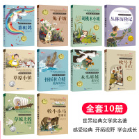 纽伯瑞儿童文学奖国际大奖小说金奖全套10册草原上的小木屋正版 三四年级必读课外书 兔子坡 小学生课外阅读书籍五六年级 经