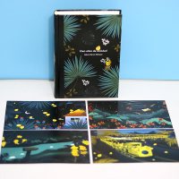 百年孤独正版马尔克斯代表作诺贝尔文学奖世界名著读物霍乱时期的爱情范晔翻译人生阅读书中文精装版文学小说书排行榜