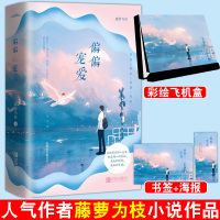 [赠抱枕+彩绘飞机盒+钥匙扣+结婚证+立牌]全2册 偏偏宠爱实体书正版 藤萝为枝著 都市爱情青春小说 园爱情文晋江文学书