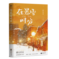 飞机盒 印签版 官方正版在暴雪时分 墨宝非宝 著继蜜汁炖鱿鱼一生一世美人骨后作者 书作家墨宝非宝浪漫深情力作 青春文学