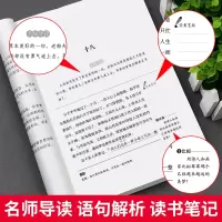 边城沈从文散文集4册中国当代文学作品选湘行散记原著正版从文自传全集完整版天地出版社初中生阅读课外经典书籍长河沈从文的书
