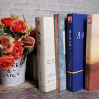 [正版]百年孤独+人间失格+月亮与六便士+我是猫+罗生门 全套5册 马尔克斯外国经典文学小说世界名著书籍排行榜