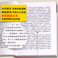 边城 沈从文精选集正版原著 书籍 适合高中生阅读的图书 初中生经典小说青春文学现代励志文艺集湘行散记珍藏版测试