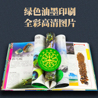 [飞机盒装]dk儿童海洋百科全书大百科海底世界儿童书海洋动物书中国少年儿童趣味百科全书海洋儿童 6-12岁科普读物