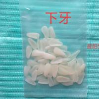 牙科材料门牙美白牙齿贴片临时牙贴片超薄牙贴面 牙齿美白树脂贴[9月29日发完] 下牙一袋