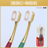 高露洁软毛宽头牙刷2支装高密刷毛绵绵丝洁齿家庭组合套装情侣款 1盒(蔷薇红+橄榄绿)