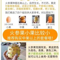 现摘火参果孕妇老人下火低糖应季水果新鲜罕见奇异水果批发海参果 火参果中果1个【偏小不够你吃】不推荐