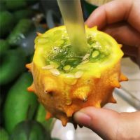 4斤火参果应季新鲜水果 孕妇老人海参果低糖下火生果奇异果刺角瓜 1斤大果(2-3个)