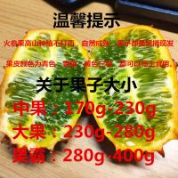火参果新鲜当季水果刺角瓜非洲蜜瓜奇异果低糖下火星果灭霸海参果 1个试吃【单果160-190g】