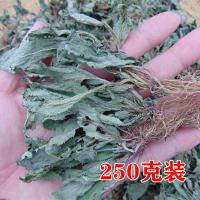 [野生蛤蟆草]农家采挖荔枝草蛤皱皮草青蛙草蟾蜍草干品250g 250克装